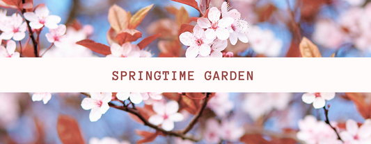 Tips to Build Your Springtime Garden