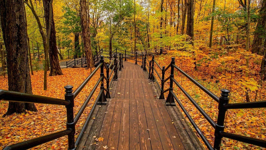 Hiking Trails That Are Stunning in Fall