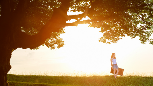 Start of Summer – Summer Solstice