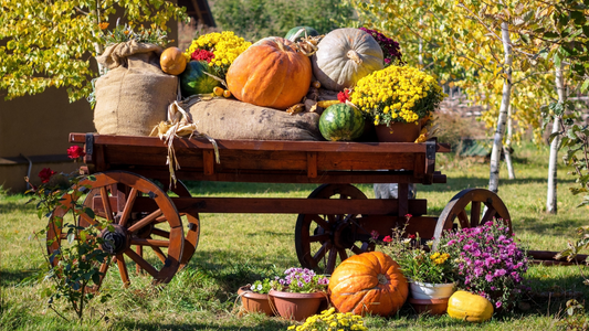 7 Creative & Engaging Fall Festival Ideas