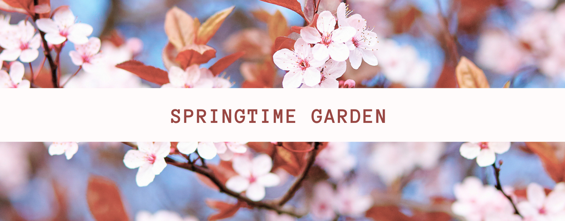 Tips to Build Your Springtime Garden