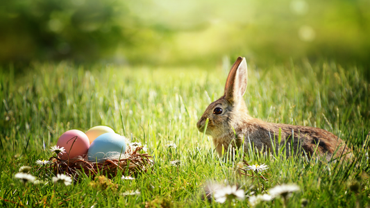10 Easy Easter Craft Ideas for Families